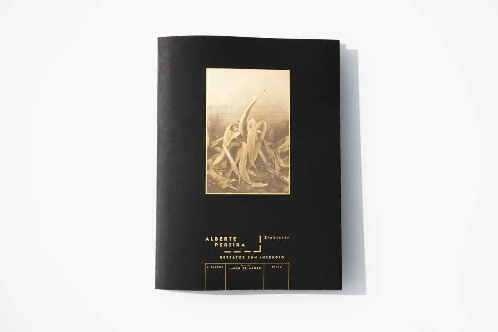 7EFF9D17 6098 4F9B A26C B4CA99CD7F8C