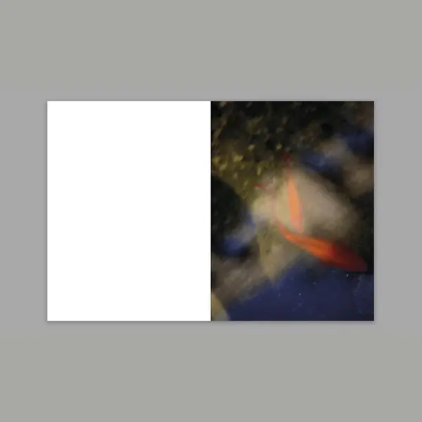 Lugares PreOrder2