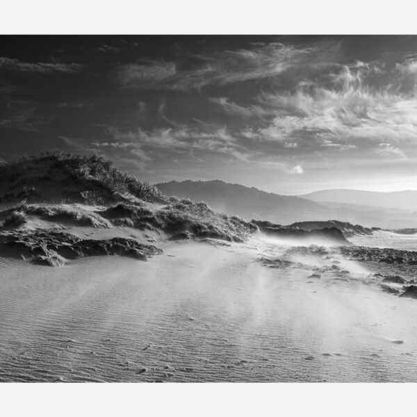 Tamanos BALDAIO 2021 01