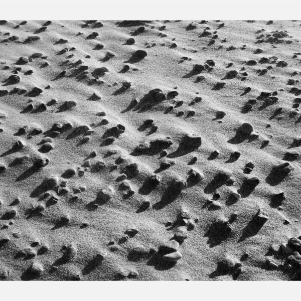 Tamanos BALDAIO 2021 02