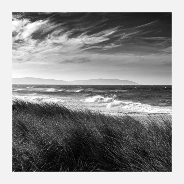 Tamanos BALDAIO 2021 03