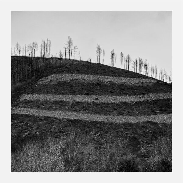 Tamanos O Caurel 2023 04