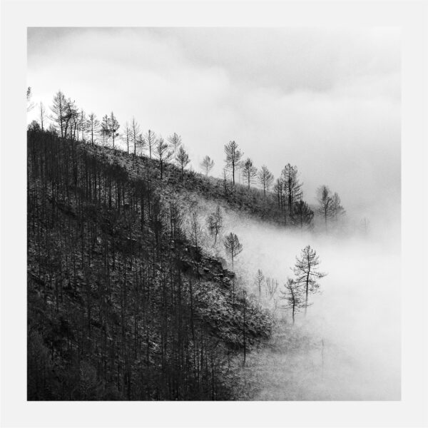 Tamanos O Caurel 2023 15