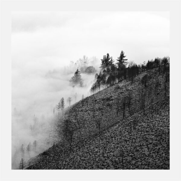 Tamanos O Caurel 2023 16