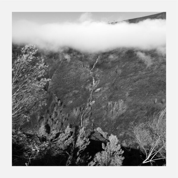 Tamanos O Caurel 2023 18