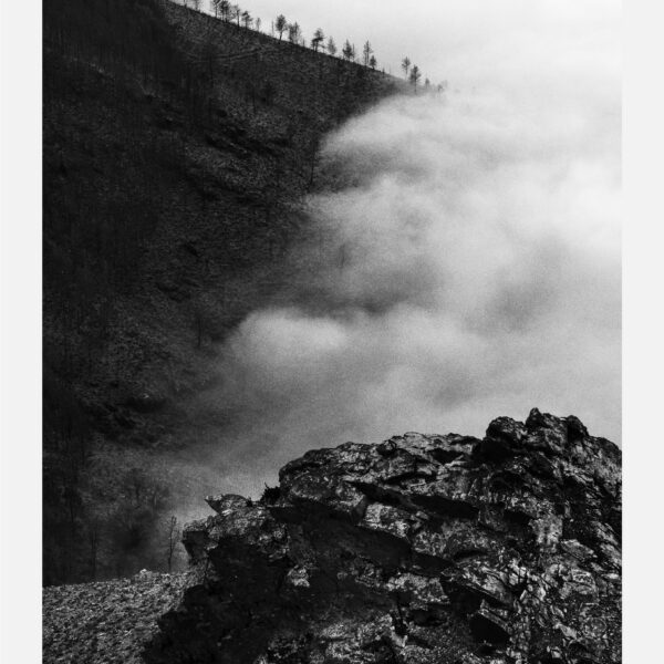 Tamanos O Caurel 2023 Mesa de trabajo 1 copia