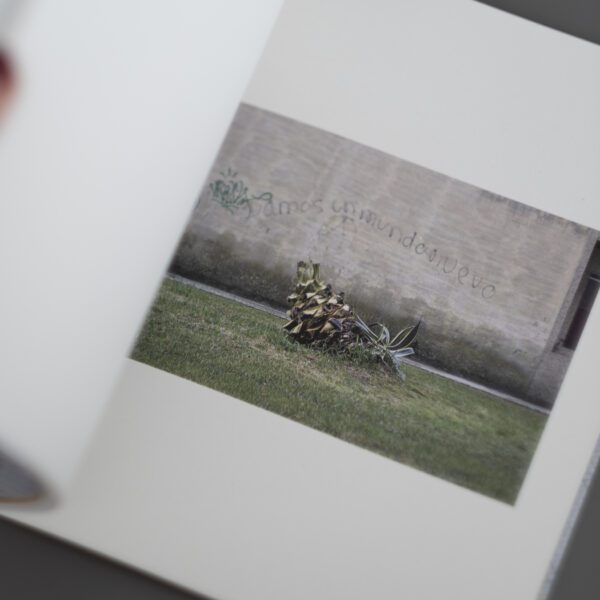 ZONA VERDE ZLICK 9303